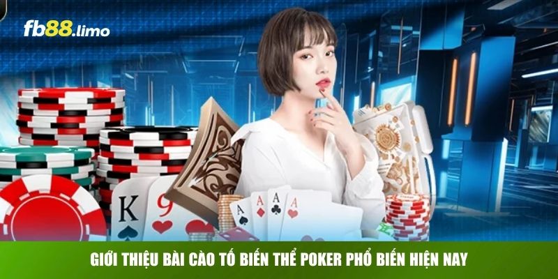 Giới thiệu bài cào tố biến thể poker phổ biến hiện nay